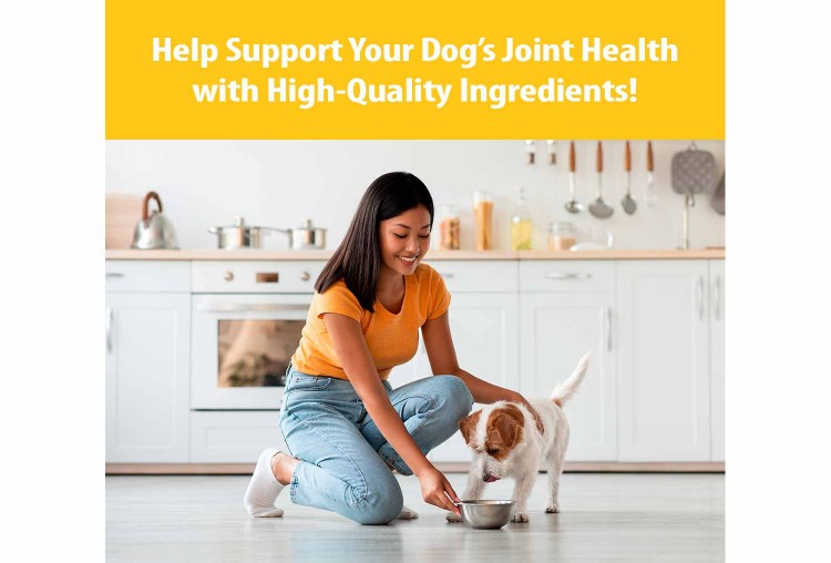 Pupex Joint & Mobility Support